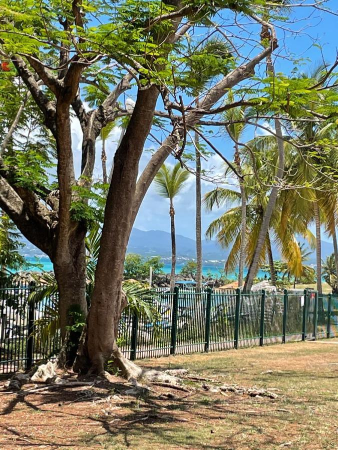 Cauris Lodge Du Marisol Vue Mer Acces Direct Plage Avec Citerne D Eau Ле-Гозье Экстерьер фото